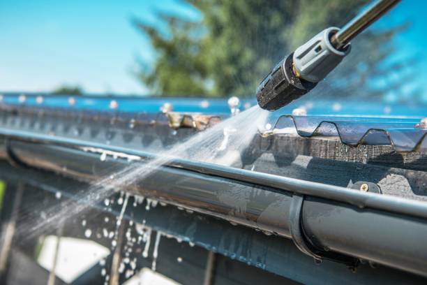 Best Roof Pressure Washing  in Abbeville, AL