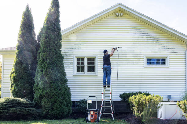 Best Residential Pressure Washing Services  in Abbeville, AL