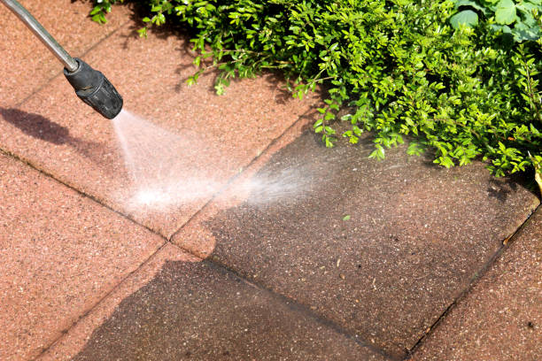  Abbeville, AL Pressure Washing Pros